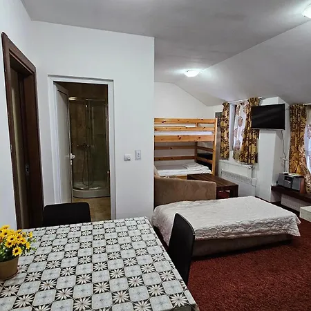 Appartement The Castle Mansarde On The Slope 7 -