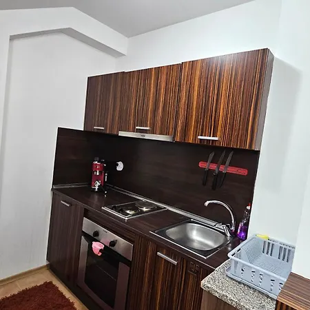 The Castle Mansarde On The Slope 7 - * Pamporovo