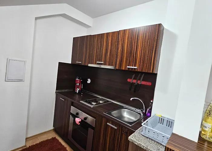 The Castle Mansarde On The Slope 7 - * Pamporovo